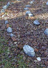 Leaves on Labyrinth